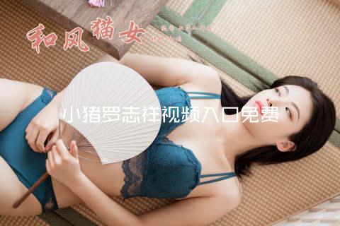小猪罗志祥视频入口免费